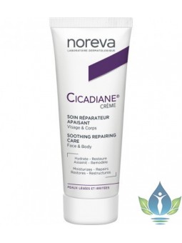 NOREVA CICADIANE, Crème...